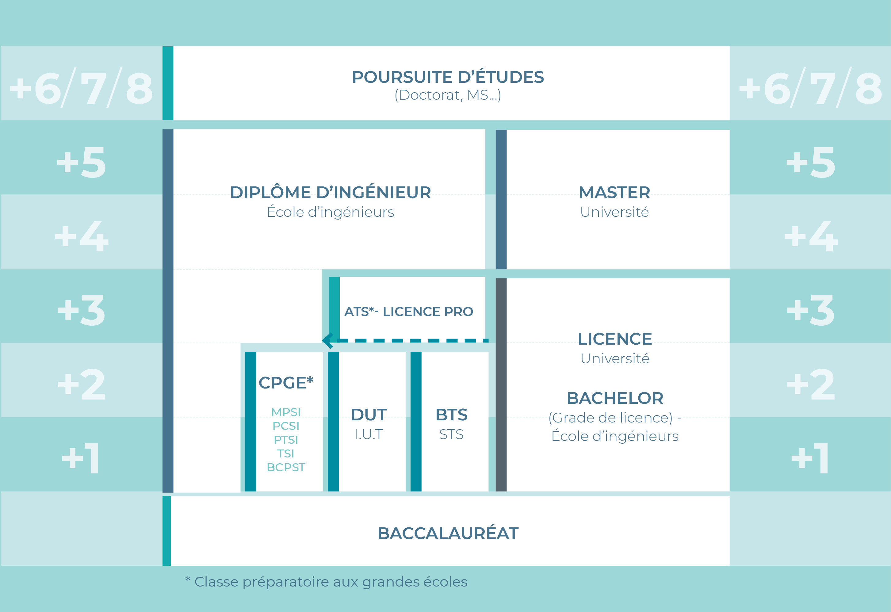 organigramme des études